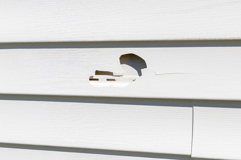 Assessing and Repairing Siding Damage